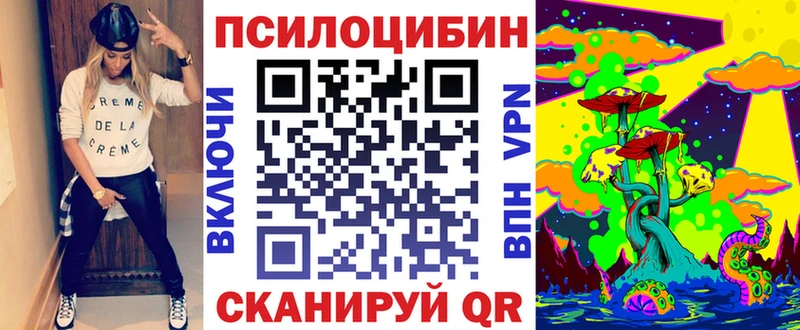 OMG сайт  Шлиссельбург  Галлюциногенные грибы Psilocybine cubensis 
